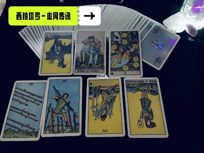 星币骑士看健康