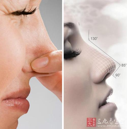 健康的鼻孔里面图片