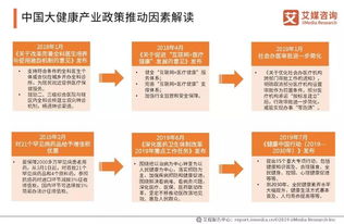 大健康产品