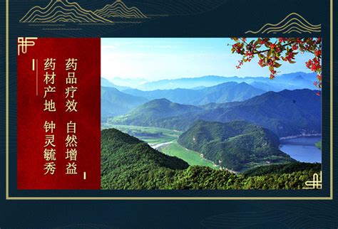 阿里健康药房免费执业药师服务时间