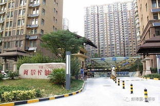 怎么办理