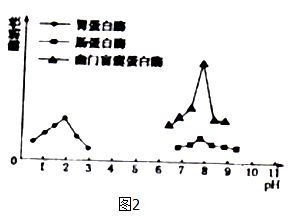 健康效应什么意思