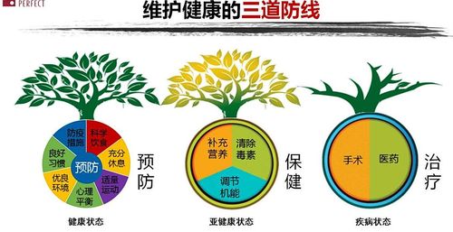 健康权是指什么