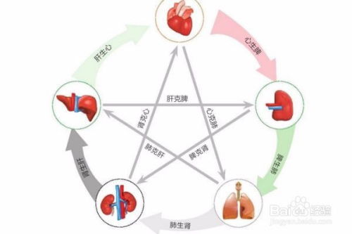 五行健康搡