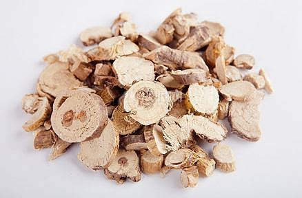 苦参的功效与作用的功能与主治