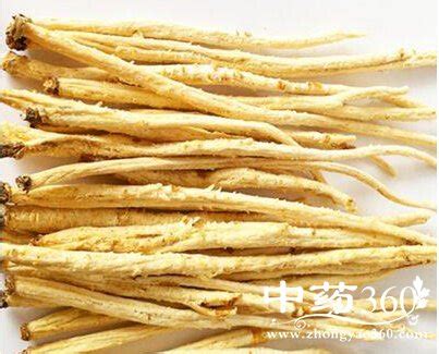 沙参的功效与作用与用量