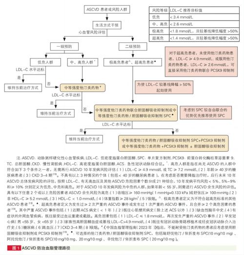 携手共进中国降胆固醇单片复方制剂共识解读与实践