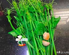 端午佳节，不可错过的祛湿理气、解毒杀菌、健脾开胃的神奇蔬菜
