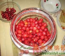 樱桃泡酒的制作方法步骤