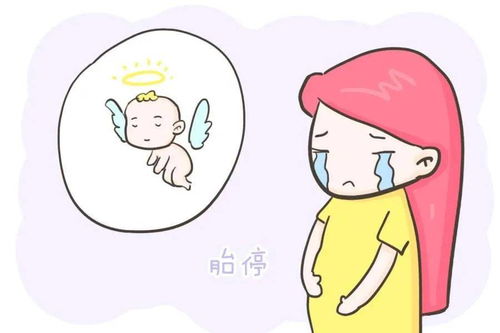 孕15周胎停育最明显的症状