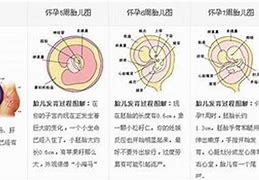 工作汇报策略制定指南