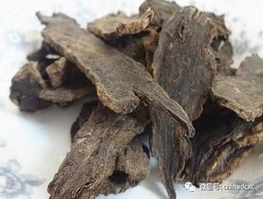 沙参的功效与作用与主治与用量