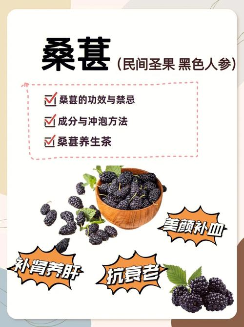 桑葚的功效和作用