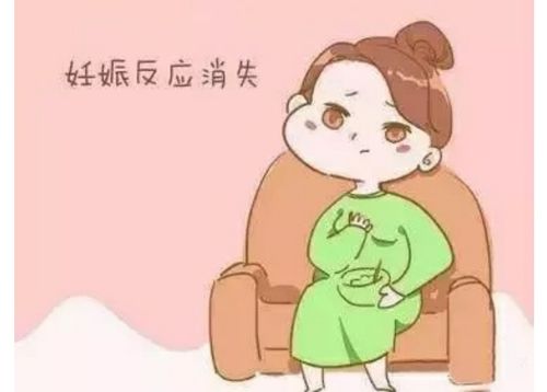 胎停育的症状有哪些表现图片