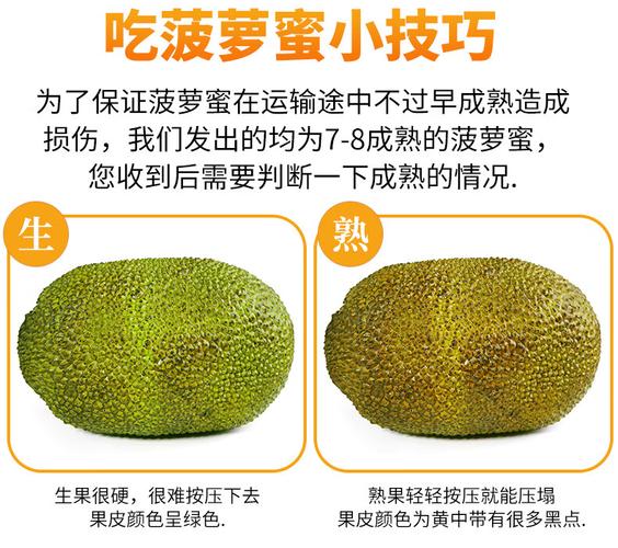 优化用户体验与业务目标菠萝蜜健康网站设计方案