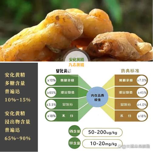黄精的功效与作用及食用方法用量