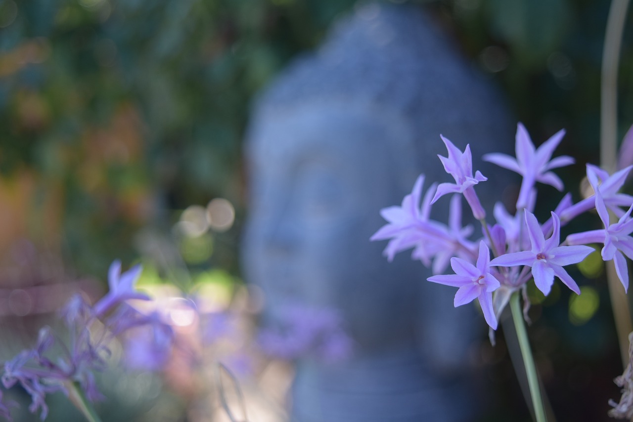 深度解析，薰衣草精油的神奇力量——巧用以淡化疤痕，重塑肌肤亮丽