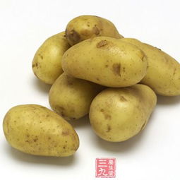 一、营养丰富的食材