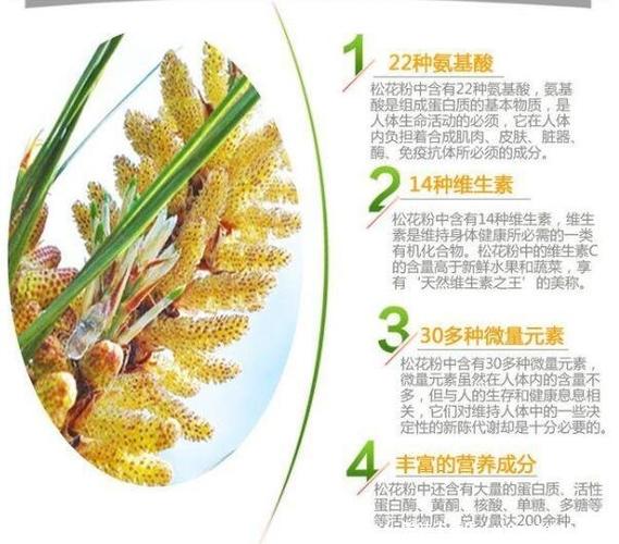 松花粉的副作用和危害
