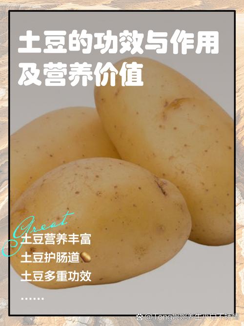 土豆的多重功效与作用