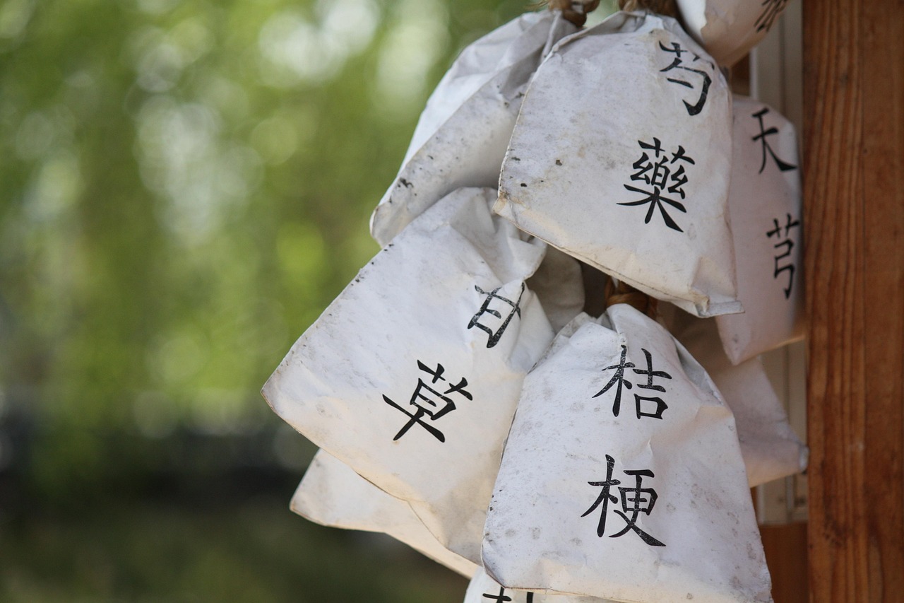探秘中国瑰宝，走进中医——解读东方智慧的养生之道